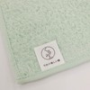 Keisuu Kurumin 4526847142773 Hankachi Towel, Handkerchief, Embroidery, Hedgehog, Green, 9.8