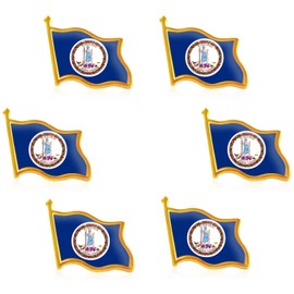 Rhungift 6Pack-US VA Virginia State Lapel Pins Waving Flag Patriotic Pins Bulk Metal Souvenir Series Gifts-1