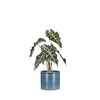 Scheurich Set of 2 Ceramic Flower Pots, Colour: Blue Jeans,