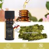 pajoma Duftöl 10 ml, Latschenkiefer - Golden Line | 100%