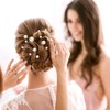 Wedding Pearl Hair Pins U Pearl Shaped Hair Accessories For