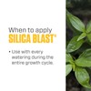 Botanicare Silica Blast, Plant Supplement, 0-0-0.5, 1 qt.