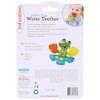 Infantino Chillin' Frog Water Teether