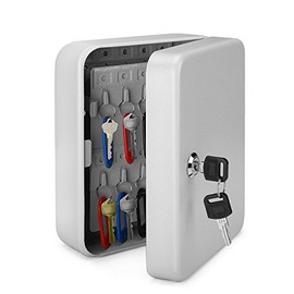 Flexzion Key Cabinet Key Lock Box Wall Mount with 40 Key Holder Organizer Locker Case, Colored Key Tags & Hooks Wall Mounted Lock Box for Keys Storage, Homes, Property, Hotels, Business (Gray)