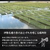 Aosa Seaweed Honpo 1.8 oz (50 g), Made in Japan,