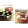 Ase Shinzo Shoten Rice Spoon, F1315, Brown