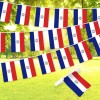 UD_G128 8.2 X 5.5 Inch Paraguayan Bunting Banner Flag Printed
