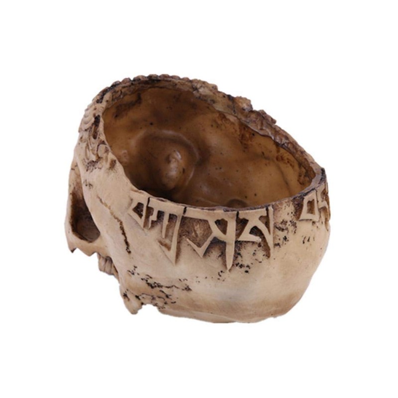 Creative Flower Pot, Resin Skull Shaped Head Design Flower Pot