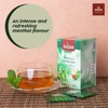 SULTAN TEA Moroccan Green Tea with Mint Herbal Green Teas