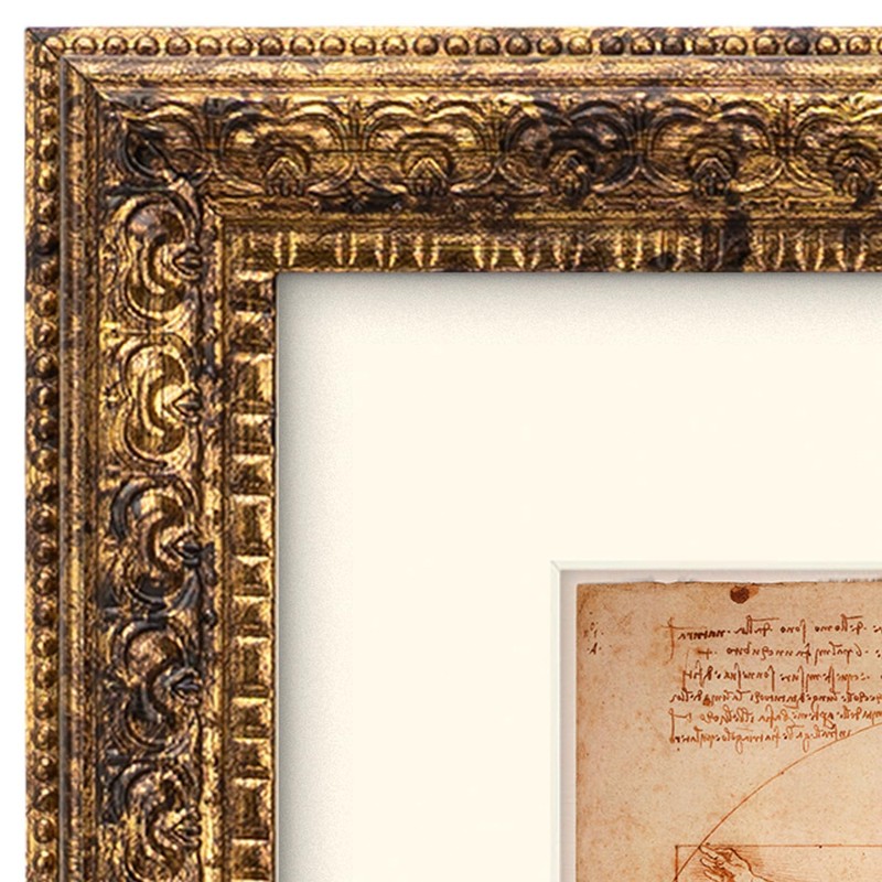Eitida 8x10 in Rustic Gold Ornate Classic Picture Frame, Matted