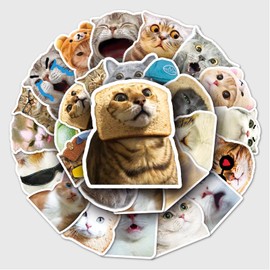 Bric Dodo Pack of 50 Meme Cat Stickers Car Laptop Phone Guitar Skateboard Motorcycle Bicycle Meme Cat Stickers Set Vinyl Waterproof Aesthetic Stickers for Teenagers Children Adults