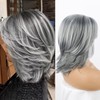 LEOSA Gray Ombre Wig - Light Grey & Black Curly