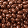 Bayside Candy Milk Chocolate Collection Sugar Free Milk Chocolate Almonds
