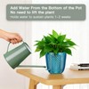 2 Pack Self Watering Pots, 5.7 Inch, with Drainage Holes,