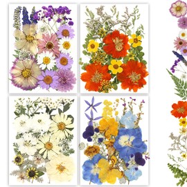 Buzidao Dried Pressed Flowers, Real Natural Pressed Flowers for Resin Nail Art Scrapbooking Candle Jewelry Making Real Dried Pressed Flowers Resin Supplies Kit (Multi Color-2)