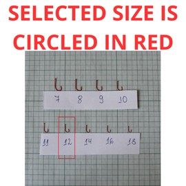 PRO FILSTAR Red Fishing Hook Set with Leader Pack of 10, Size 12, Mono Fishing Line 50 cm, DIA 0.12 mm - Tench & White Fish Tied Hooks - Fishing Hook - Leader Line - Monofilament Leaders - Sports Set