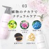 Adelance Benefit Medicated Moisture Control Treatment EX Sculpt Treatment 12.5