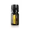 doTERRA Cheer Oil 5ml Cheer Persimmon Oil / 도테라 치어 오일 5ml 환호 감덩오일