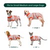 Kuoser Recovery Suit for Dogs Cats After Surgery, Professional Pet