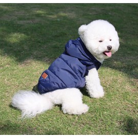 JoyDaog(Warm Fleece Lining) Dog Hoodie in Winter,Small Dog Jacket Puppy Coats with Hooded(Blue M)