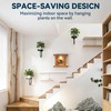 Wall Planters for Indoor Plants, 3 Pack Wall Mounted Plant