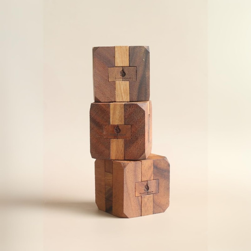 Hidden Passage: Wooden 3D Mechanical Puzzle for Adults – Brain