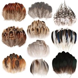 300 Pcs Small Feathers 10 Style Mixed Spotted Decorative Natual Pheasant Feather for DIY Crafts Clothing Jewelry Hair DecorationColor: Natural Gray-1