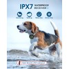 Dog Shock Collar Training with Remote, for Large Medium Small