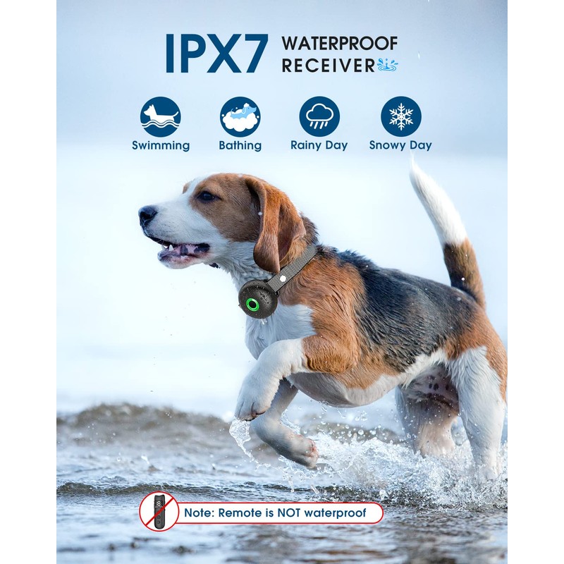 Dog Shock Collar Training with Remote, for Large Medium Small