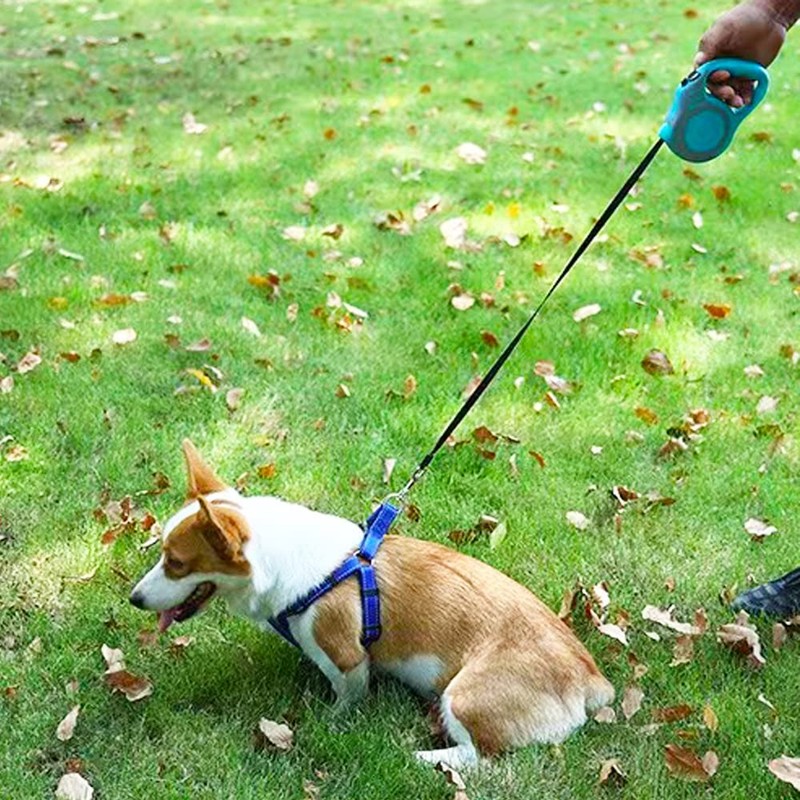 Retractable Dog Leash Lightweight 10/16FT Leash with Non-Slip Handle, for