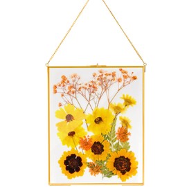 AVLA Brass Hanging Photo Frame, 11x14 inch Double Glass Floating Frame, Large Picture Artwork Display Frame for Pressed Flowers, Golden Gallery Wall Frame for Specimen, Certificate, Home Decor