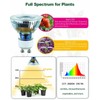 DOMMIA Grow Light, GU10 Full Spectrum Grow Light Bulb, 5W