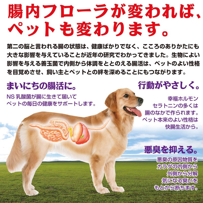 NS Lacto pettomisuto Telling Replacement 3 Bag Set