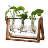 XXXFLOWER Plant Terrarium with Wooden Stand, Air Planter Bulb Glass