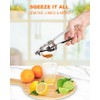 Brigii Lemon Squeezer Juicer for Lime and Lemon, Heavy-Duty 304