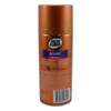 Right Guard Sport 8.5 Ounce Aerosol Original 24Hr Deodorant (251ml)