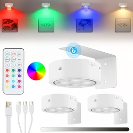 Glighone 3Pcs Rechargeable Battery Picture Light,13 RGB Color Magnetic Wall Lights for Pictures with Remote Dimmable and Timer, Art Display Light for Paintings Battery Operated-RGB White
