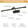DESOOP Wireless Black Picture Lights for Wall Motion Activated, Motion