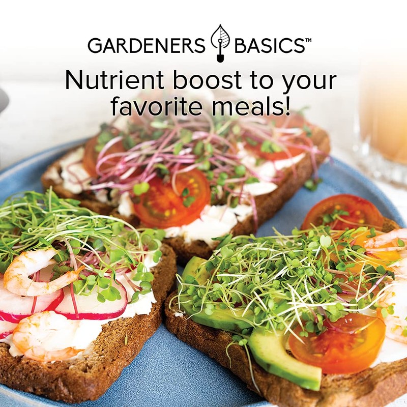 Gardeners Basics, Broccoli Seeds for Sprouting Kit and Microgreens Non-GMO,
