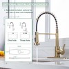 WEWE Brushed Gold Kitchen Faucet with Pull Down Sprayer, RV