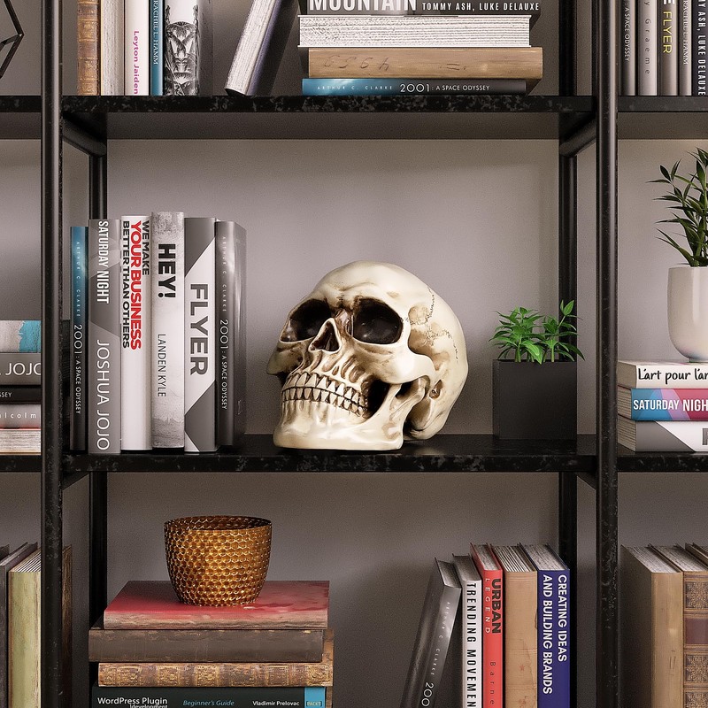 READAEER Resin Skull, Human Head Model for Home Decoration, Halloween