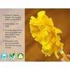 Xanitize Fleece Refills for Swiffer Hand Duster - Reusable, Dry