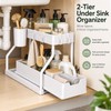 2-Tier Under Sink Organizer for Kitchen & Bathroom – Stainless