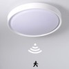 Etrogo LED Ceiling Light with Radar Motion Sensor and Twilight