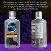 Wellgenix Omni Cleansing Drink, Extra Strength Body Detox, Herbal Cleanse