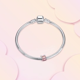 Annmors 925 Sterling Silver Charms fit Bracelets Necklaces Flying Unicorn Pig Beads with 5A Cubic Zirconia Christmas Valentine Mother's Day Gift Charms for Women