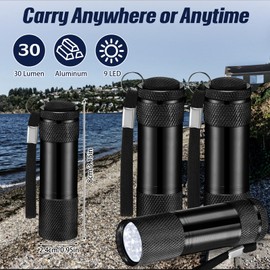 VIHOSE 12 Pcs Mini Flashlights Bulk, Bright Aluminum Handheld Flash Lights with Lanyard, Small LED Flashlights for Kids Night Reading Emergency Hurricane Camping Hiking Party Favors(Black)