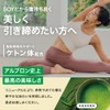 アルプロン (ALPRON SLIM) ソイ プロテイン SOY 本格 抹茶風味 750g ケトン