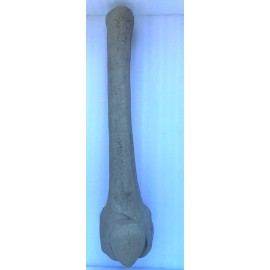 Home Depot 12ft Skeleton Replacement Bone RIGHT Femur Repair Parts 12 ft Part I