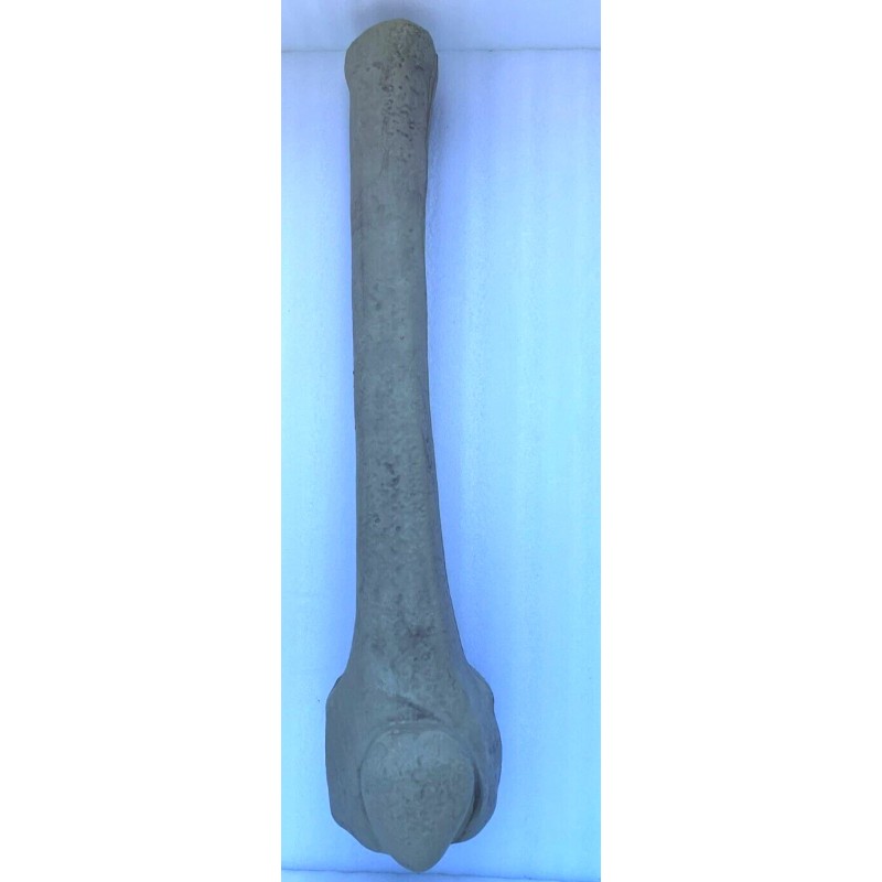 Home Depot 12ft Skeleton Replacement Bone RIGHT Femur Repair Parts